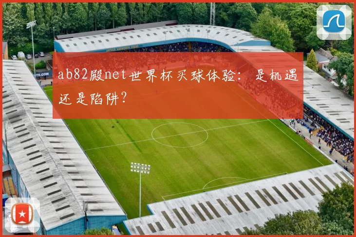 ab82殿net世界杯买球体验：是机遇还是陷阱？