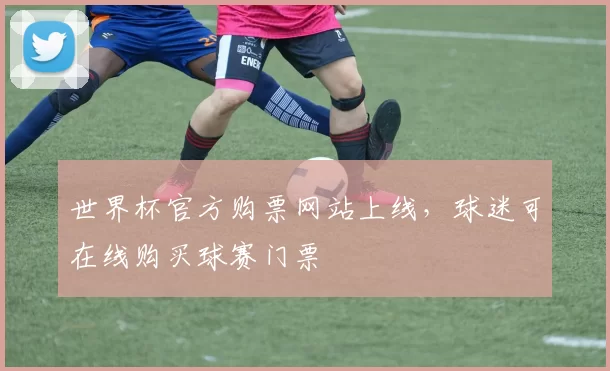世界杯官方购票网站上线,球迷可在线购买球赛门票