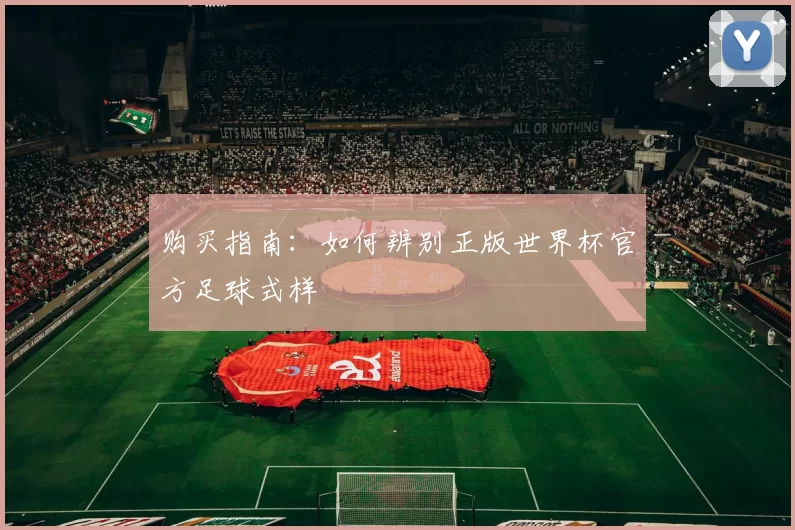 购买指南:如何辨别正版世界杯官方足球式样