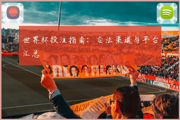 世界杯投注指南：合法渠道与平台汇总