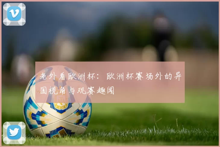 老外看欧洲杯:欧洲杯赛场外的异国视角与观赛趣闻
