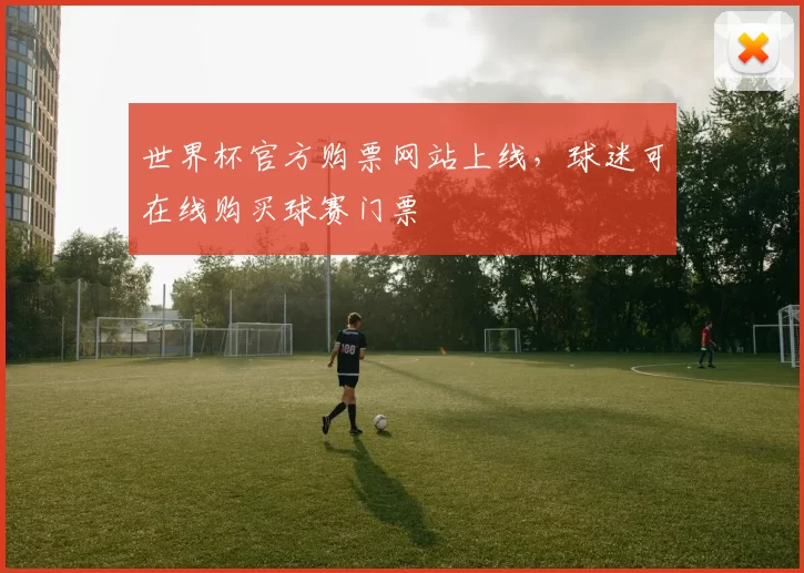 世界杯官方购票网站上线，球迷可在线购买球赛门票