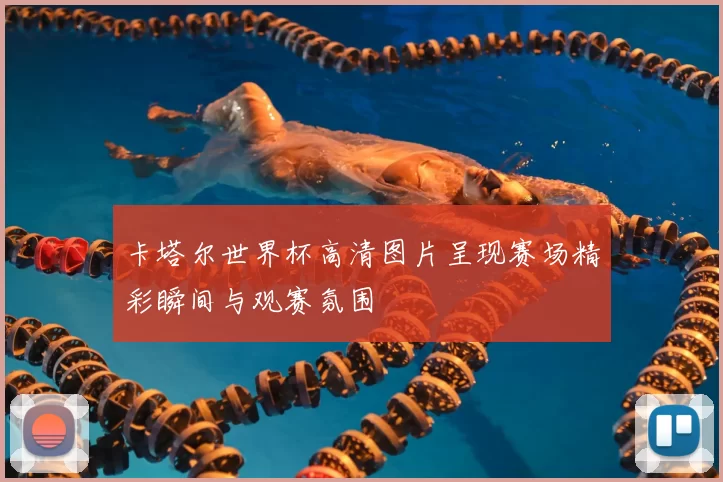 卡塔尔世界杯高清图片呈现赛场精彩瞬间与观赛氛围