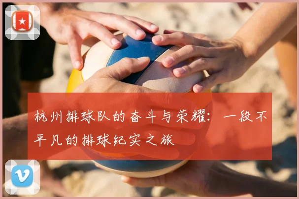 杭州排球队的奋斗与荣耀：一段不平凡的排球纪实之旅