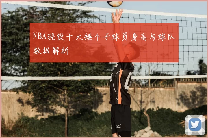 NBA现役十大矮个子球员身高与球队数据解析