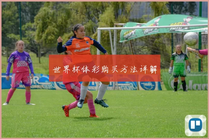 世界杯体彩购买方法详解