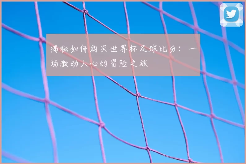 揭秘如何购买世界杯足球比分:一场激动人心的冒险之旅