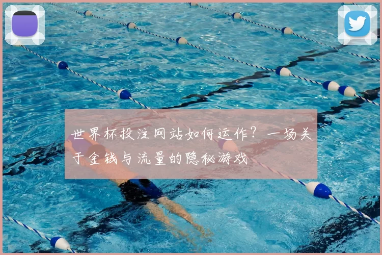 世界杯投注网站如何运作?一场关于金钱与流量的隐秘游戏