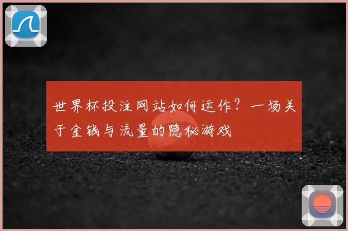 世界杯投注网站如何运作?一场关于金钱与流量的隐秘游戏