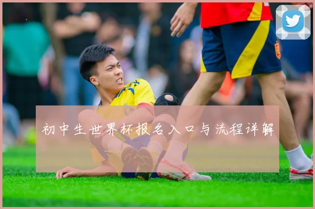 初中生世界杯报名入口与流程详解