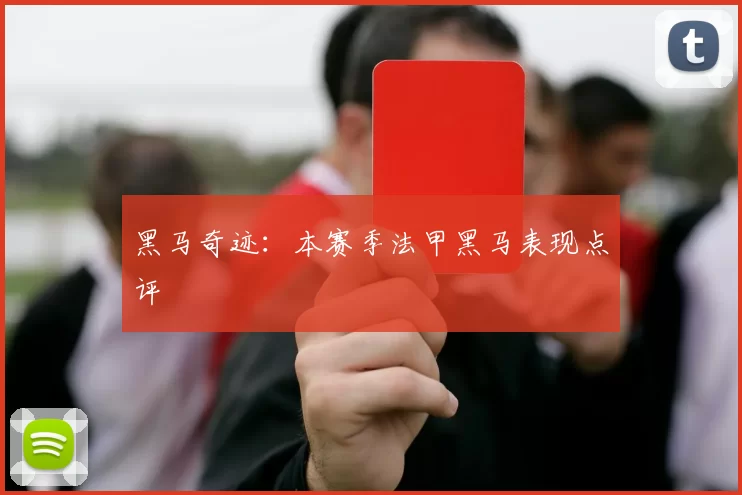 黑马奇迹:本赛季法甲黑马表现点评
