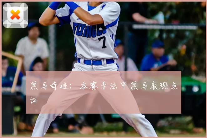 黑马奇迹:本赛季法甲黑马表现点评