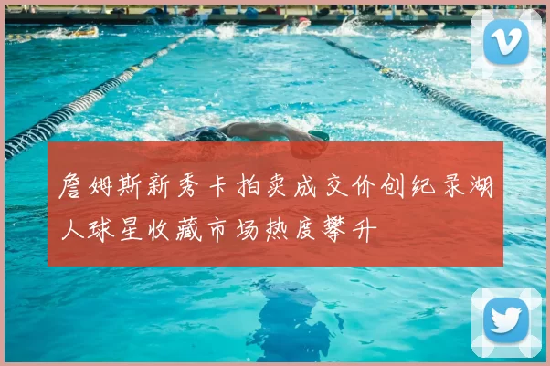 詹姆斯新秀卡拍卖成交价创纪录湖人球星收藏市场热度攀升